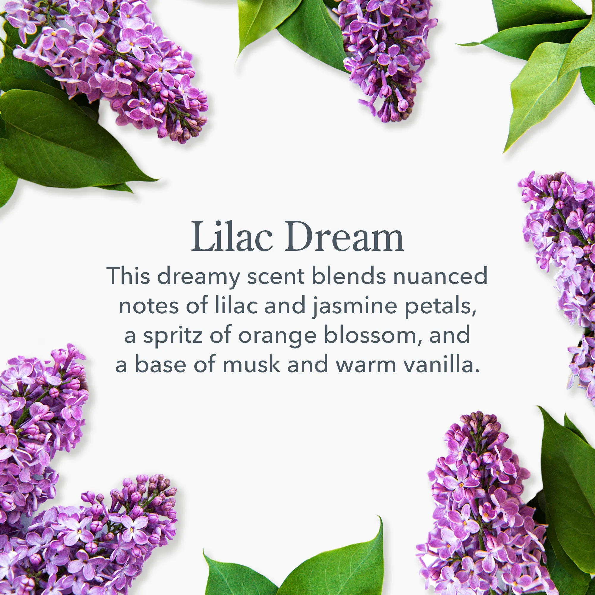 Lilac Dream Caddy Set