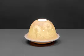 Lithophane dome- Dandelion